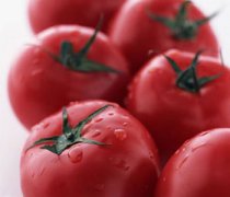 ��ʲô�߲�ˮ���ܷ�ɹ �����ʲôˮ����ɹ