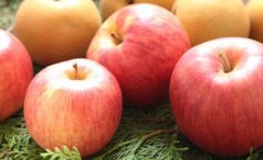 ��Щˮ����˥�� ��˥�ϵ�ˮ������Щ