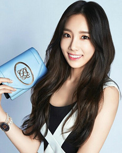 淑女长发发型图片 最新韩式淑女长发图