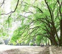 �人������� ����֥�Ӹ�֮��