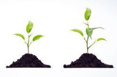 ��ɫ��������400�� ������԰Ψ������