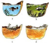 ��Ӫ������Ⱦ ˮ��Դ����ȾԴͷ֮һ