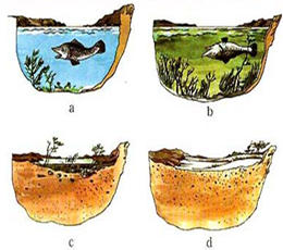 ��Ӫ������Ⱦ