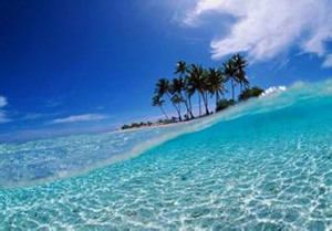 �����������Ƽ�