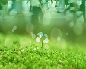 ��������ͼ��