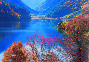 ��կ��������·