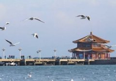 �ൺ����·���Ƽ� �ൺ����·�߹滮