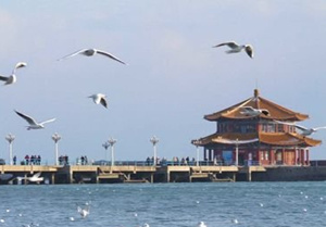 �ൺ����·���Ƽ�