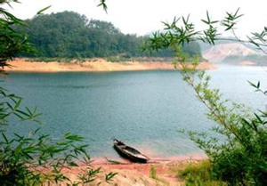 ������ι���