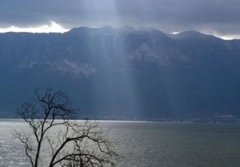 ���ȥ�������κ� ��������Ƽ�