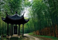 ������ʮ������Щ �����ÿ��ľ���