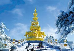 ��üɽ��ô�� ��üɽ������