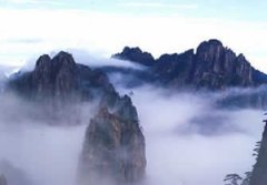 ��ɽ�ƺ��ÿ��� ����Ʈ�����ƺ�