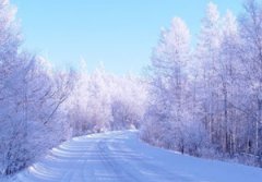 ������ʲô�ط�����ô ���˰��뻶ӭ��