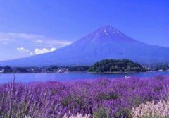 ��Զ޹�²�����������ʿ �������㵽��