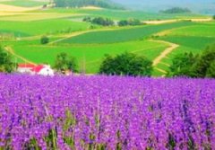 ��������ȥ����� �������Ů��