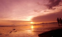 ��֧�޵���ô�� ��֧�޵�һ����