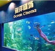 �ൺ����������ôȥ �������罻ͨ·��