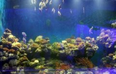 ��������ݺ���ô ����ĺ�������