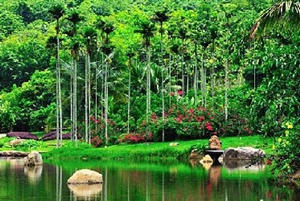 三亚呀诺达热带雨林怎么样