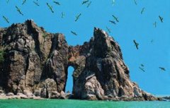 �������Լ���·�� ��һ�Լ����Ƽ�