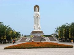 ��������ɽ�Ļ���������ô�� ��ɽ����Ļ�