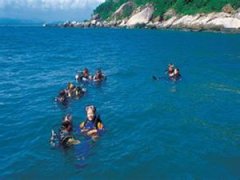 ������֧�޵�����ô ������֧�޵�