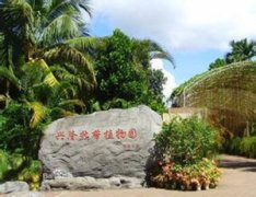 ��¡�ȴ�ֲ��԰����ô ������������