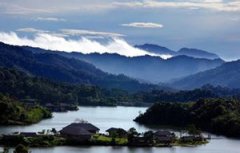 ����ɭ��������ô�� ����ɭ������