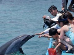 �ֽ��޵���ô�� �ֽ��޵�����ô