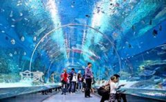 �ൺ����������Ʊ��ô�� �����������ι���