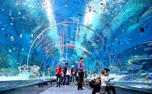 青岛海洋世界门票怎么样