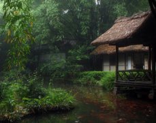 �Ÿ����ú���ô ��Ҷ�컨���м�