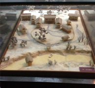 �Ÿ���������С��ʿ �Ÿ���������ע������