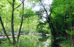 ������̺���ô ��̾�������ͣ