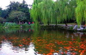 花港观鱼公园好玩么