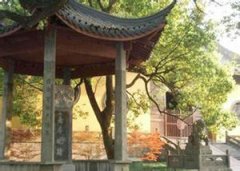 ����������ô�� ��ɽ��ɲ������