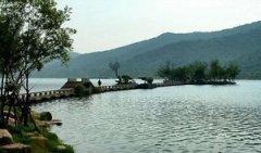 ���������· �ų��ŷ�������