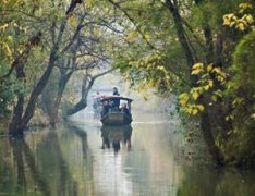 ����̤��ȥ���� ������������