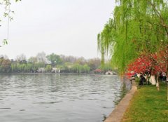 ��һ�żٰ��� ��һ���������Ƽ�