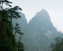 ��һ�żٰ��� ����ɽ����ʤ��