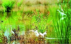 ȥ�������κ� ����̫����