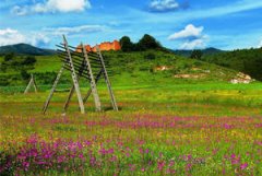 ��һС�������ι��� ������������