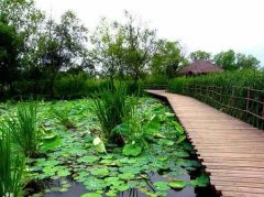 ��Ϫ���̺���ô ��Ϫ���̽���