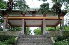 �麣��ɽ����ͤ���ι��� ������·