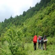 ��ͯ��ɽҪע��ʲô ��ͯ��ɽע������