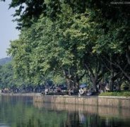 ��ɽ�ֺ���ô ��������������