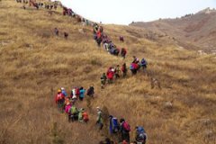 ��ɽҪע��ʲô ��ɽʵ��С��ʶ