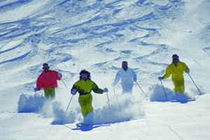 ��ѩ��ο������� ��ѩѧϰ����