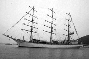 �ɼ�ʽ�������� �ɼ�ʽ������Դ�뷢չ